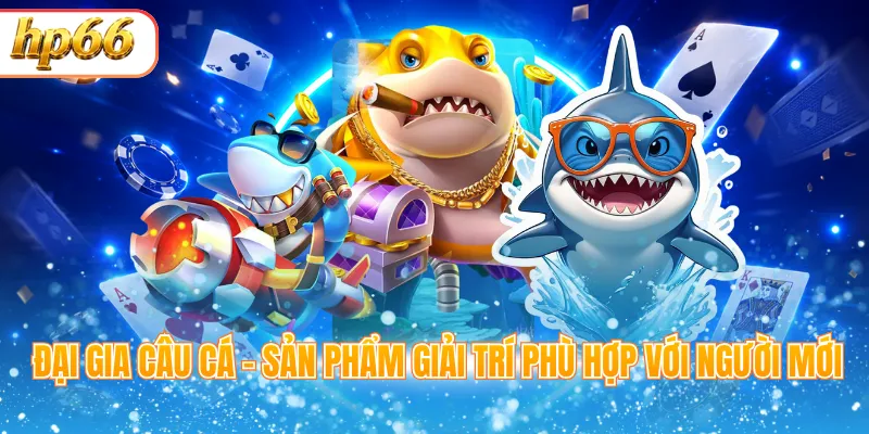 Đại gia câu cá - Sản phẩm giải trí phù hợp với người mới