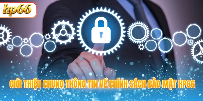 Giới thiệu chung thông tin về chính sách bảo mật HP66