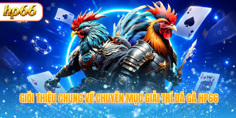 Giới thiệu chung về chuyên mục giải trí đá gà HP66